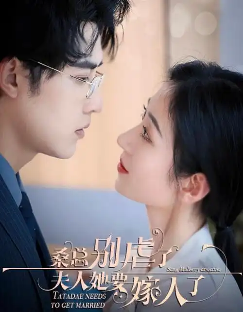 山海之间热播电视剧全集在线观看
